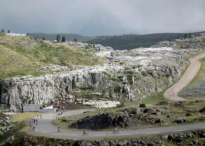 Bed & Breakfast Et Mariposa