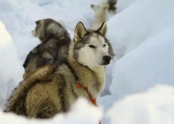 Bed & Breakfast Et Mariposa