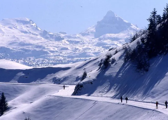 Bed & Breakfast Et Mariposa