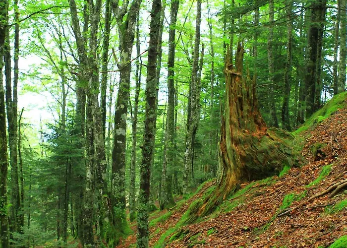 Et Mariposa Bed & Breakfast Lanne-en-Baretous